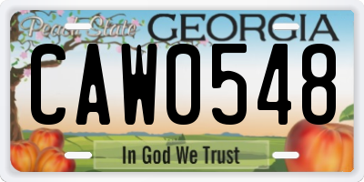 GA license plate CAW0548