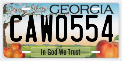 GA license plate CAW0554