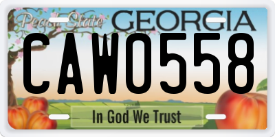 GA license plate CAW0558
