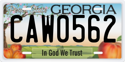 GA license plate CAW0562