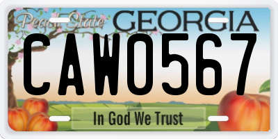 GA license plate CAW0567