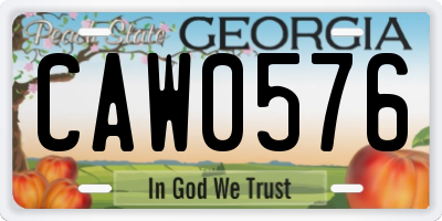 GA license plate CAW0576