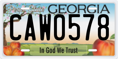 GA license plate CAW0578
