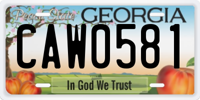 GA license plate CAW0581