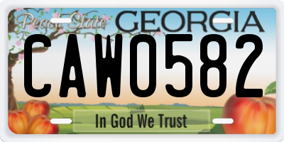 GA license plate CAW0582