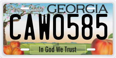 GA license plate CAW0585