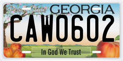 GA license plate CAW0602