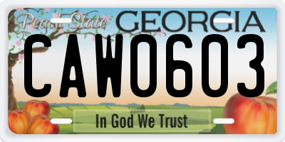 GA license plate CAW0603