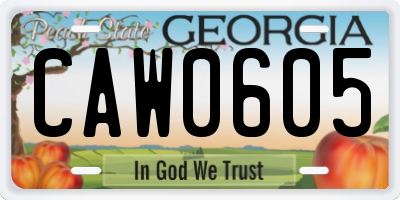 GA license plate CAW0605