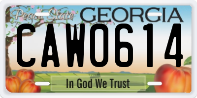GA license plate CAW0614