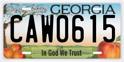 GA license plate CAW0615