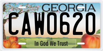 GA license plate CAW0620