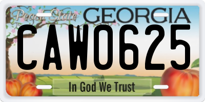 GA license plate CAW0625