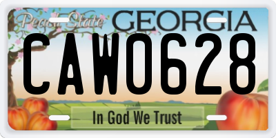 GA license plate CAW0628