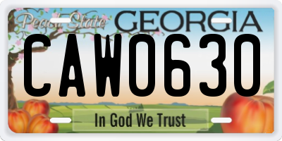 GA license plate CAW0630