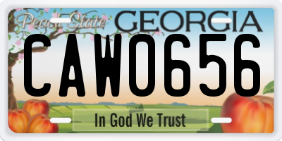 GA license plate CAW0656