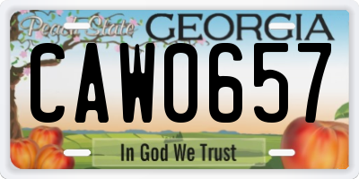 GA license plate CAW0657