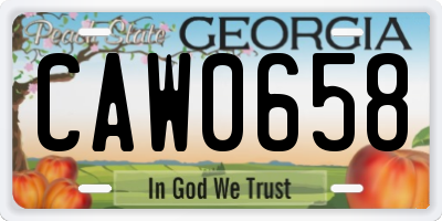 GA license plate CAW0658