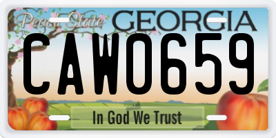 GA license plate CAW0659