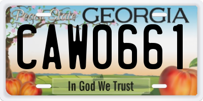 GA license plate CAW0661