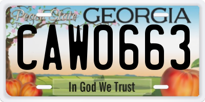 GA license plate CAW0663