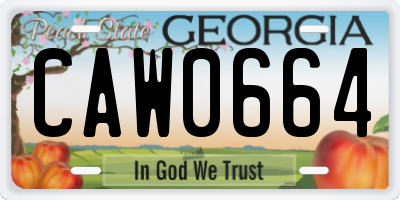 GA license plate CAW0664