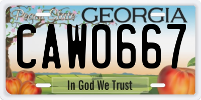 GA license plate CAW0667