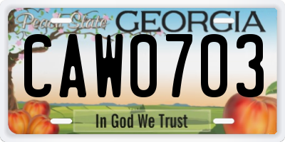 GA license plate CAW0703