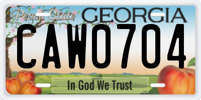 GA license plate CAW0704