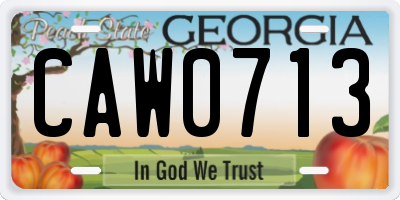 GA license plate CAW0713