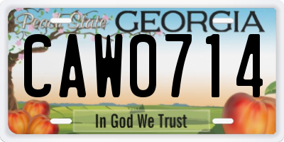 GA license plate CAW0714