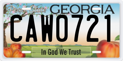 GA license plate CAW0721