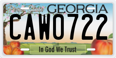 GA license plate CAW0722