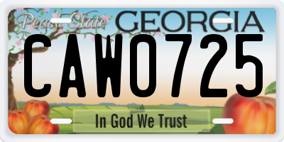 GA license plate CAW0725