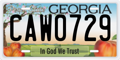 GA license plate CAW0729