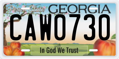 GA license plate CAW0730