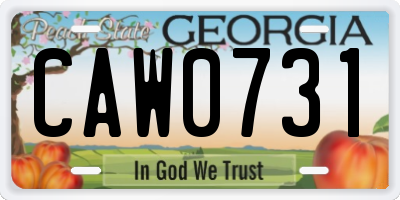 GA license plate CAW0731