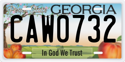 GA license plate CAW0732