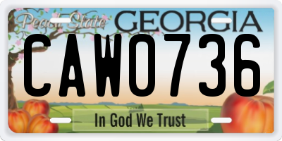 GA license plate CAW0736