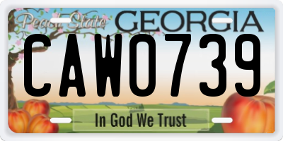 GA license plate CAW0739