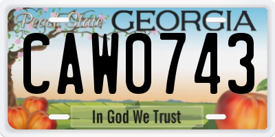 GA license plate CAW0743