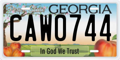 GA license plate CAW0744