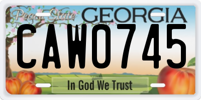 GA license plate CAW0745