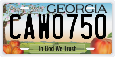 GA license plate CAW0750