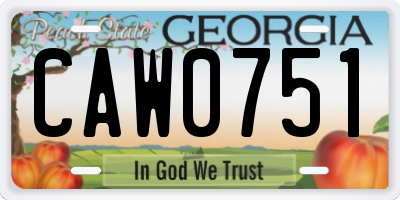 GA license plate CAW0751