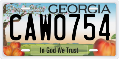 GA license plate CAW0754