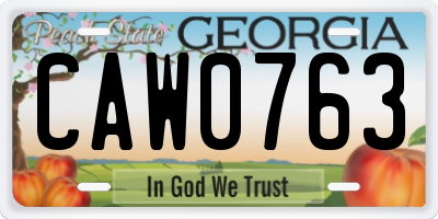 GA license plate CAW0763