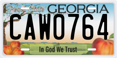 GA license plate CAW0764