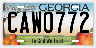 GA license plate CAW0772