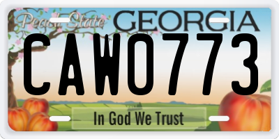 GA license plate CAW0773